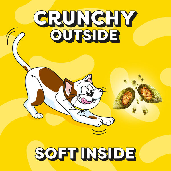DREAMIES Cat Treat Biscuits with Tuna Flavour Mega Pack 200g