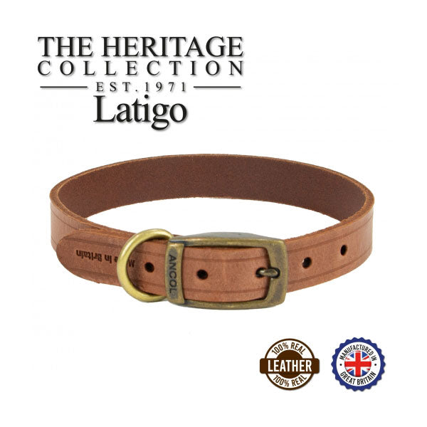 Dog collar Ancol latigo leather havana