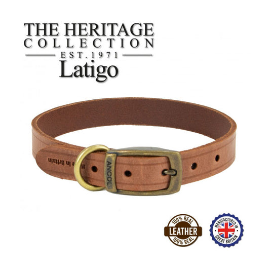 Latigo Leather Dog Collar Havana 20-26cm Size 1