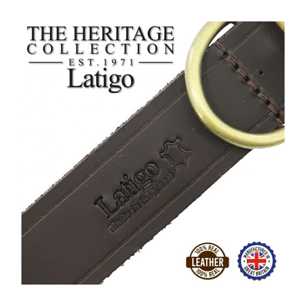 Leather dog collar Ancol latigo havana brown