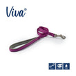 Viva padded dog lead Ancol soft handle