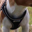Viva Comfort Dog Harness Black  XS 28-40cm