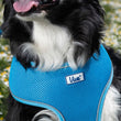 Viva Comfort Dog Harness Blue XS 28-40cm