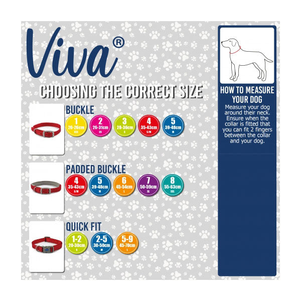 Viva padded dog collar Ancol comfort