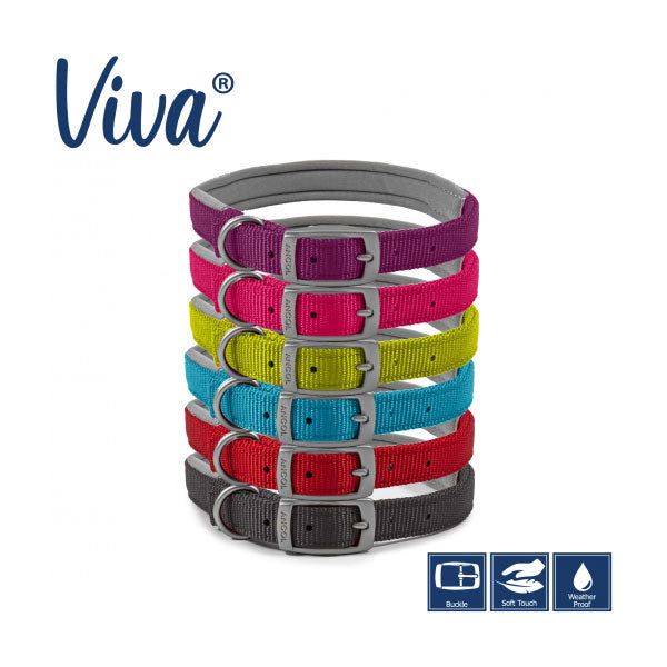 Ancol Viva Padded Dog Collar Pawsome Pets At Home