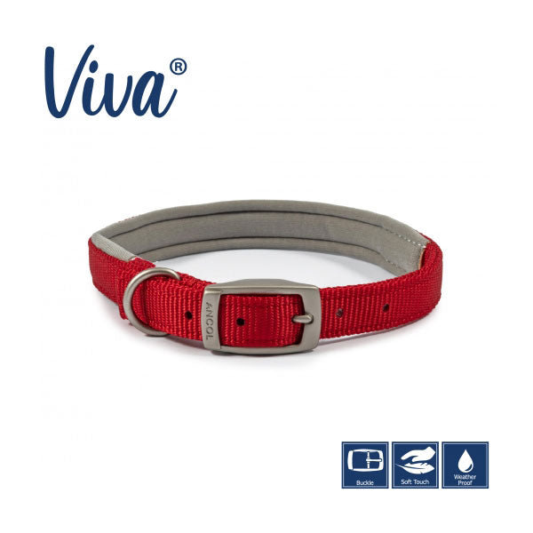Ancol Viva Padded Dog Collar Pawsome Pets At Home
