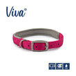 Ancol Viva Padded Dog Collar Pawsome Pets At Home