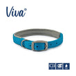 Ancol Viva Padded Dog Collar Pawsome Pets At Home