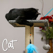Feather Bell Cat Toy Dangler