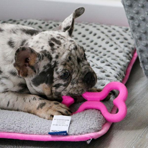 Ancol - Small Bite Soft Bones Dog Toy Pawsome Pets At Home
