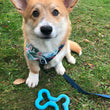 Ancol - Small Bite Soft Bones Dog Toy Pawsome Pets At Home