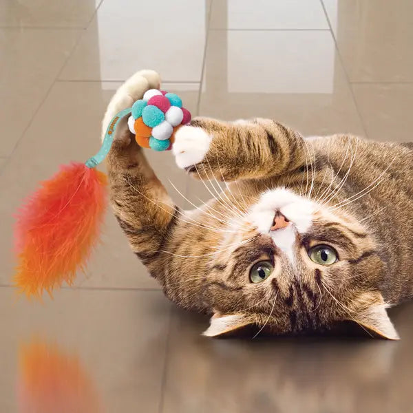 Interactive cat toy KONG bubble ball active