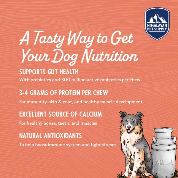 Himalayan Yogurt Stick Bacon Dog Treats 5pk
