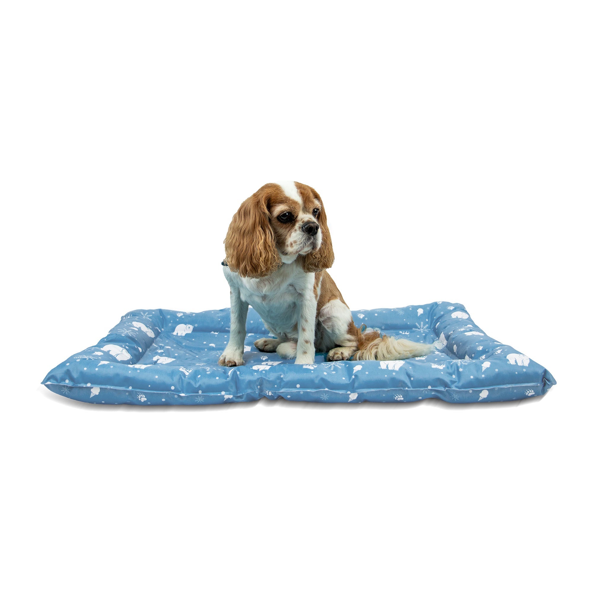 Ancol Ice Paws Cooling Bed Small 56cm x 66cm UK