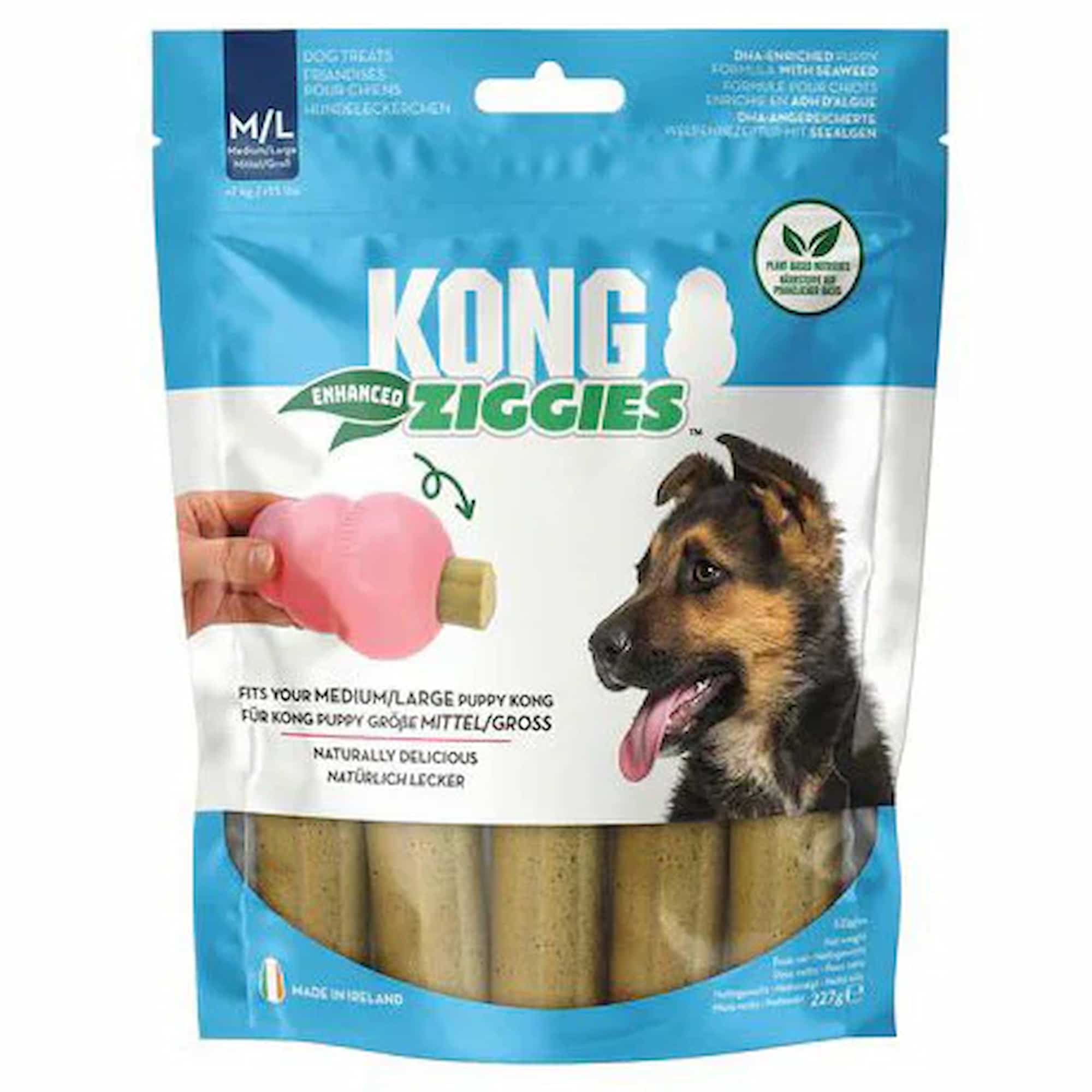 👉 KONG Ziggies M L dog treats dental chew refill pack UK