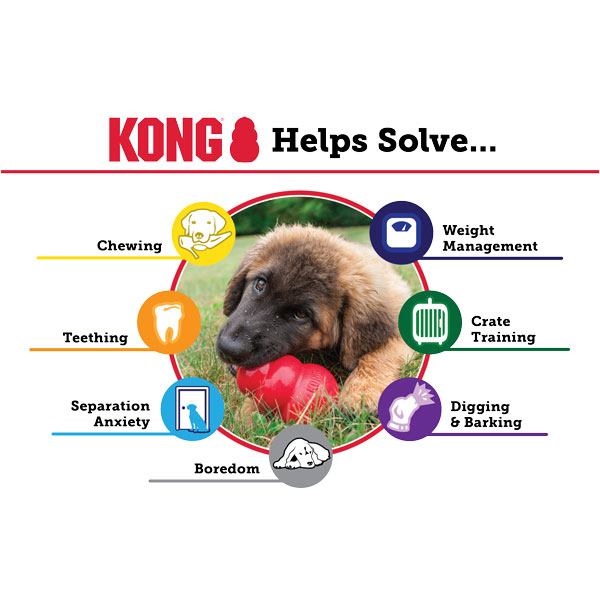 KONG Puppy Dog Toy  - Pink or Blue