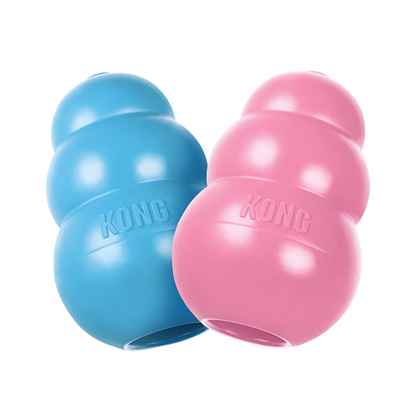 KONG Puppy Dog Toy  - Pink or Blue