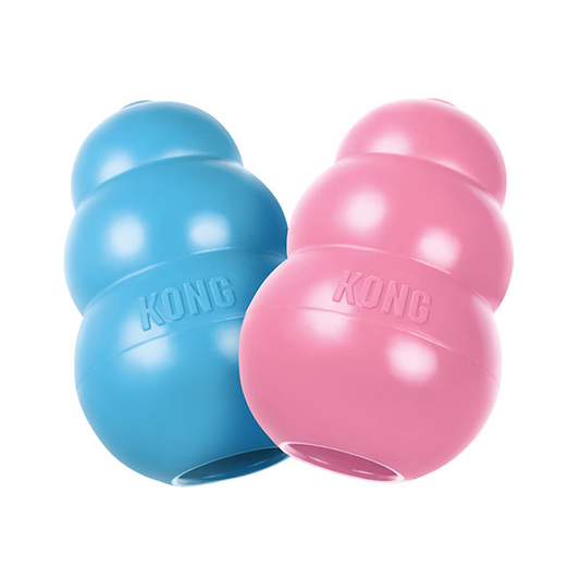 KONG Puppy Dog Toy  - Pink or Blue