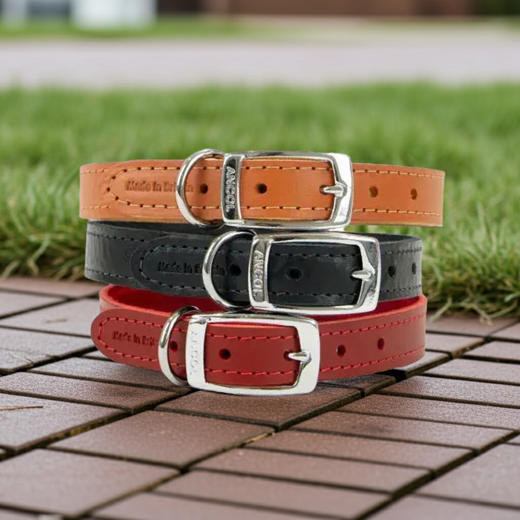 Ancol Classic Leather Dog Collar UK - Adjustable Sizes