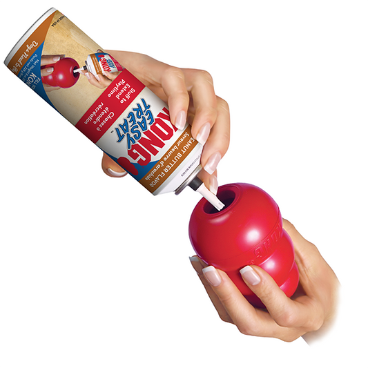 KONG Peanut Butter Easy Dog Treat