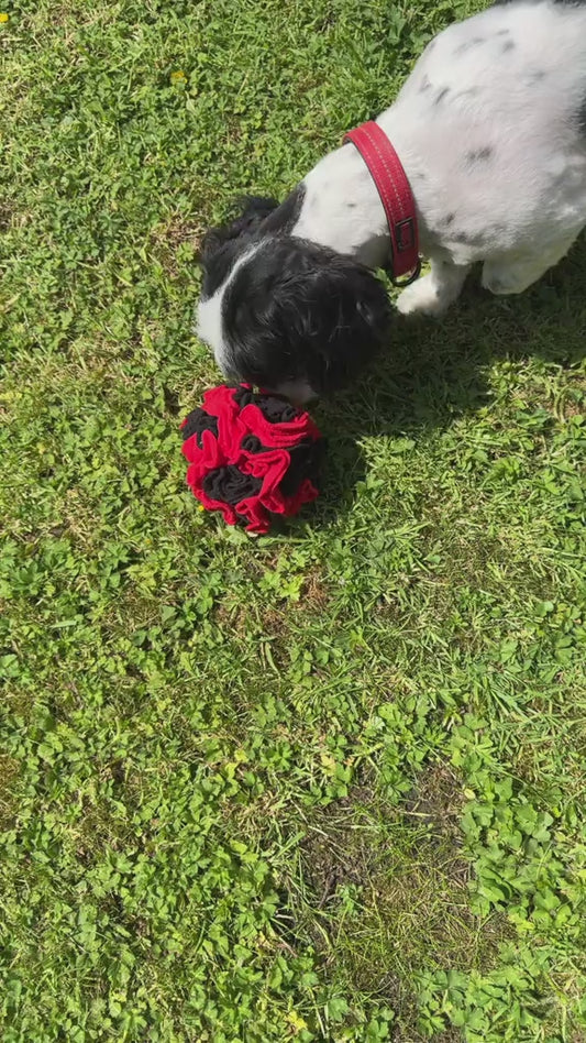Handmade Snuffle Ball for Dogs & Cats | Enrichment & Mental Stimulation Toy